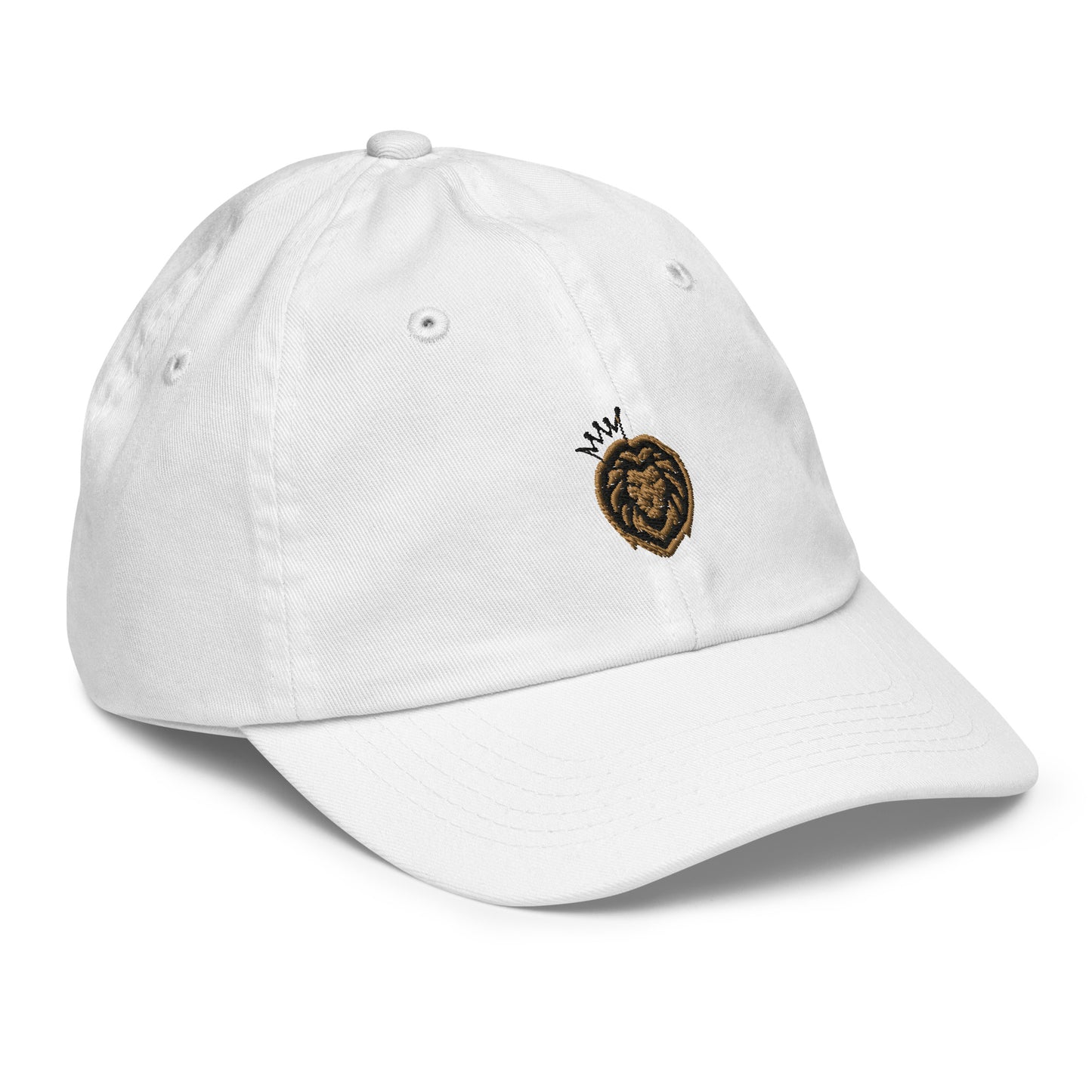 Youth Hustler's Cap